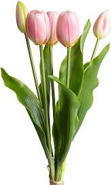 Kunstblume OTTO HOME "Tulpenbündel Holland