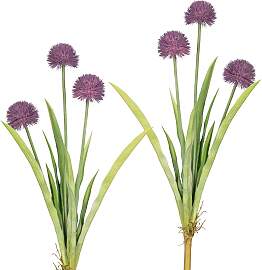 Kunstblume OTTO HOME "Vivian", lila,