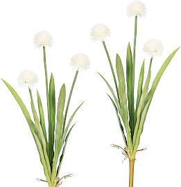 Kunstblume OTTO HOME "Vivian", weiß,
