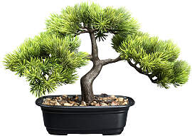 Kunstbonsai CREATIV GREEN "Bonsai