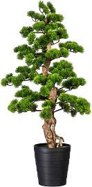 Kunstbonsai CREATIV GREEN "Bonsai