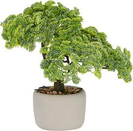 Kunstbonsai CREATIV GREEN "Bonsai Sedum
