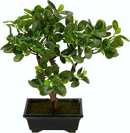Kunstbonsai I.GE.A. "Ginseng-Bonsai",