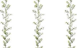 Kunstgirlande CREATIV GREEN