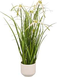Kunstgras CREATIV GREEN "Grasbusch