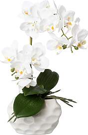Kunstorchidee CREATIV GREEN "Deko-Orchidee