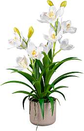 Kunstorchidee CREATIV GREEN "Orchidee