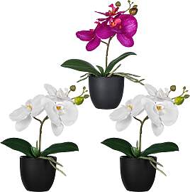 Kunstorchidee CREATIV GREEN "Orchidee