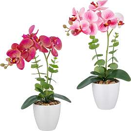Kunstorchidee CREATIV GREEN "Orchidee