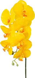 Kunstorchidee CREATIV GREEN "Orchidee