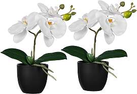 Kunstorchidee CREATIV GREEN "Orchidee