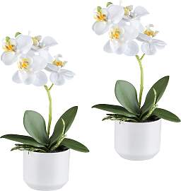 Kunstorchidee CREATIV GREEN "Orchidee