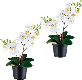 Kunstorchidee CREATIV GREEN "Orchidee
