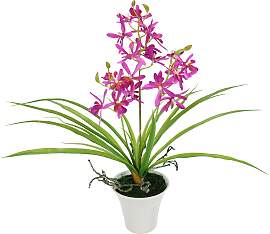 Kunstorchidee I.GE.A. "Künstliche Orchidee