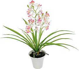 Kunstorchidee I.GE.A. "Künstliche Orchidee