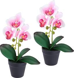 Kunstorchidee I.GE.A. "Orchidee im Topf 2er
