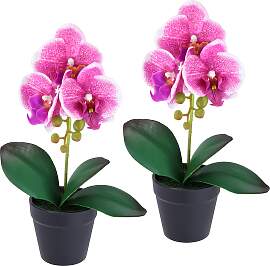 Kunstorchidee I.GE.A. "Orchidee im Topf 2er