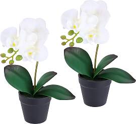 Kunstorchidee I.GE.A. "Orchidee im Topf 2er