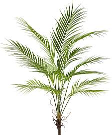 Kunstpalme CREATIV GREEN "Arecapalme",