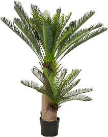 Kunstpalme CREATIV GREEN "Cycaspalme",