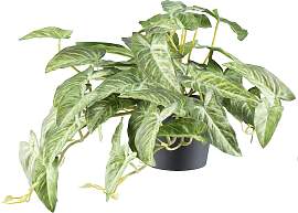 Kunstpflanze CREATIV GREEN "Alocasia",