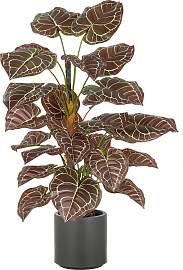 Kunstpflanze CREATIV GREEN "Anthurium",