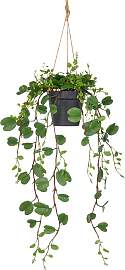 Kunstpflanze CREATIV GREEN "Bauhinia",