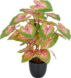 Kunstpflanze CREATIV GREEN "Caladium",