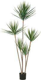 Kunstpflanze CREATIV GREEN "Dracaena