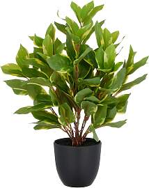 Kunstpflanze CREATIV GREEN "Epipremnum
