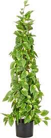 Kunstpflanze CREATIV GREEN "Epipremnum", 