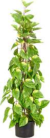 Kunstpflanze CREATIV GREEN "Epipremnum", 