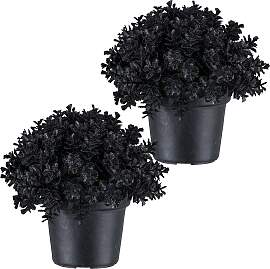 Kunstpflanze CREATIV GREEN "Eukalyptus", 