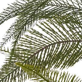 Kunstpflanze CREATIV GREEN "Farn Alsophila