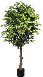 Kunstpflanze CREATIV GREEN "Ficus