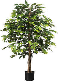 Kunstpflanze CREATIV GREEN "Ficus
