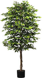 Kunstpflanze CREATIV GREEN "Ficus