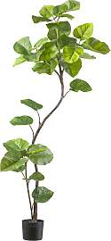 Kunstpflanze CREATIV GREEN "Ficus