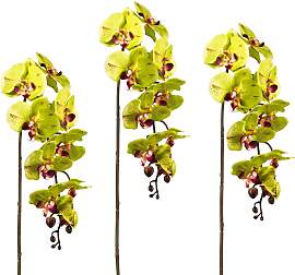 Kunstpflanze CREATIV GREEN, grün, H:98cm,