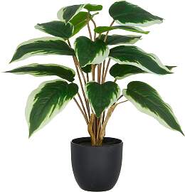 Kunstpflanze CREATIV GREEN "Hosta",