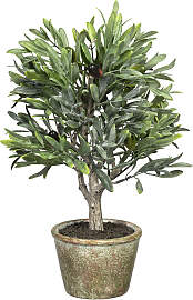 Kunstpflanze CREATIV GREEN "Olive",