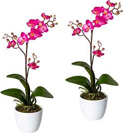 Kunstpflanze CREATIV GREEN "Orchidee