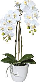 Kunstpflanze CREATIV GREEN "Orchidee