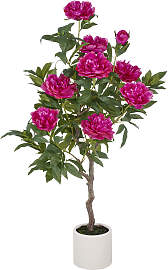 Kunstpflanze CREATIV GREEN "Peonie",