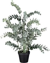 Kunstpflanze Eukalypthus Grün ca. 67cm