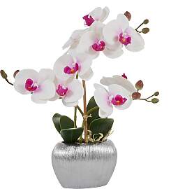 Kunstpflanze HOME AFFAIRE "Orchidee",