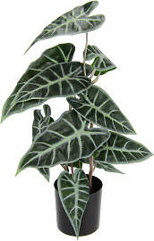 Kunstpflanze I.GE.A. "Calathea", grün,