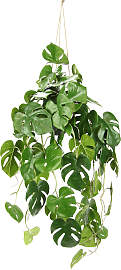 Kunstpflanze I.GE.A. "Künstliche Monstera