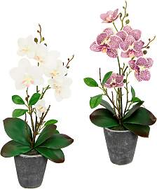Kunstpflanze I.GE.A. "Orchidee", beige