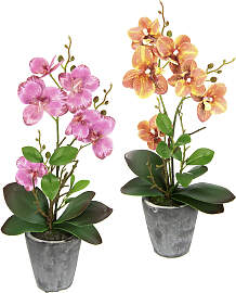 Kunstpflanze I.GE.A. "Orchidee", bunt